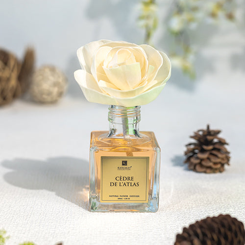 DIFFUSEUR À FLEURS 100ML - CÈDRE DE L'ATLAS